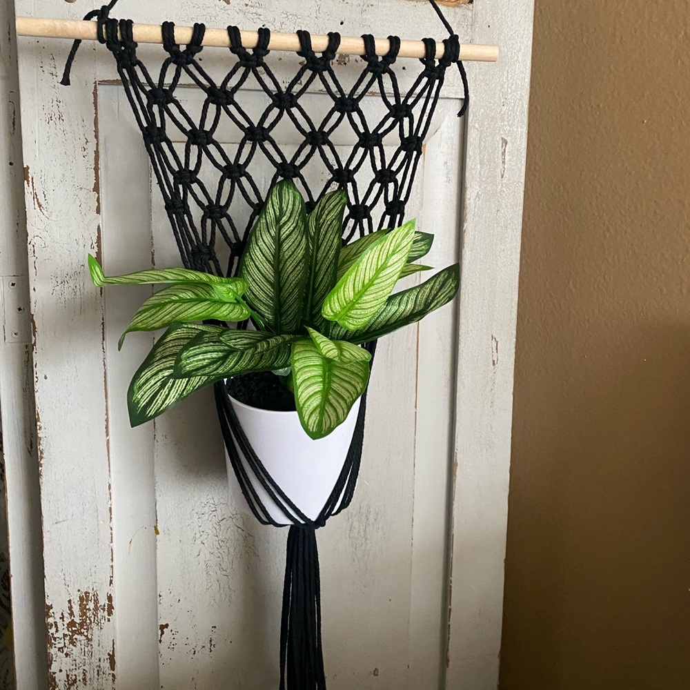 COPY - Black plant hanger
